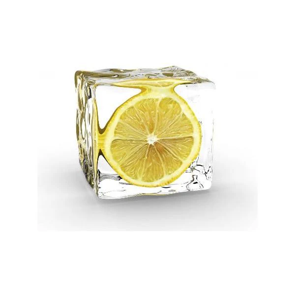 ClearCube Ice Maker - Image 8
