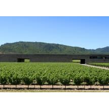Dominus Estate Red Wine Napa Valley 2021 - Image 2