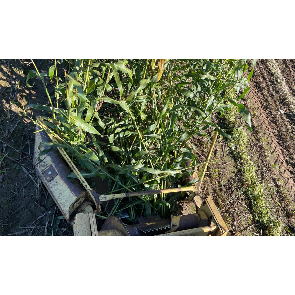 Empirical SOKA 500ml - Image 13