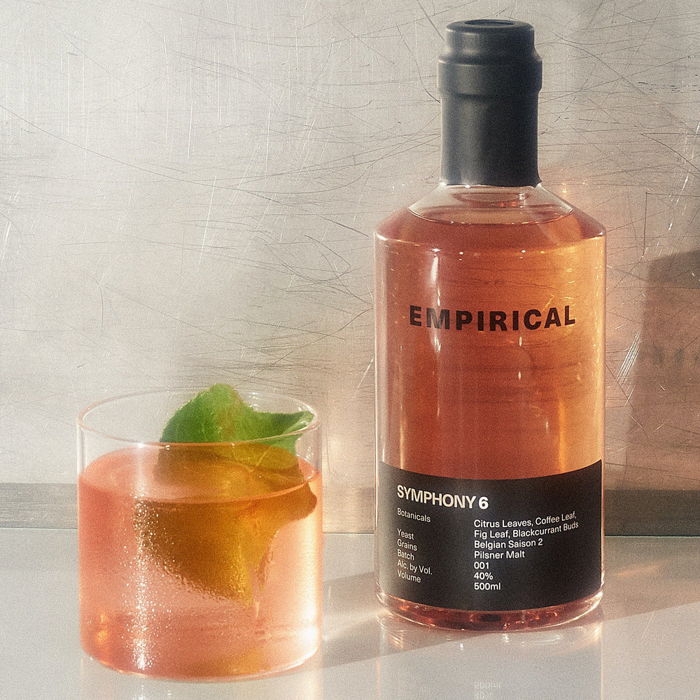 Empirical Symphony 6 - Image 3