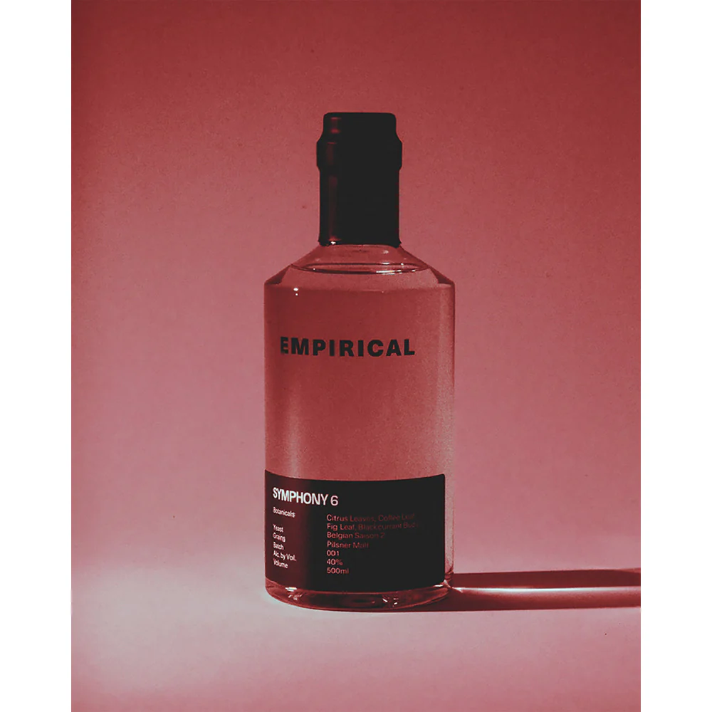 Empirical Symphony 6 - Image 6