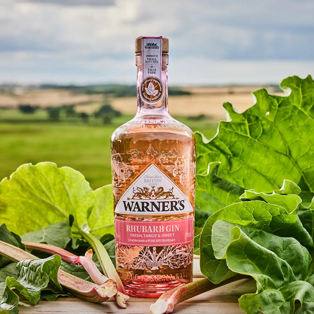 Warner's RHUBARB GIN - Image 3